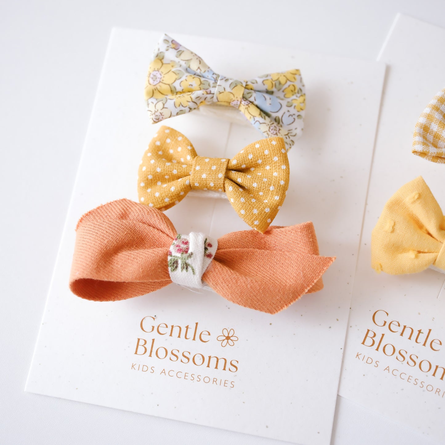 Flavia Hair Clips Set