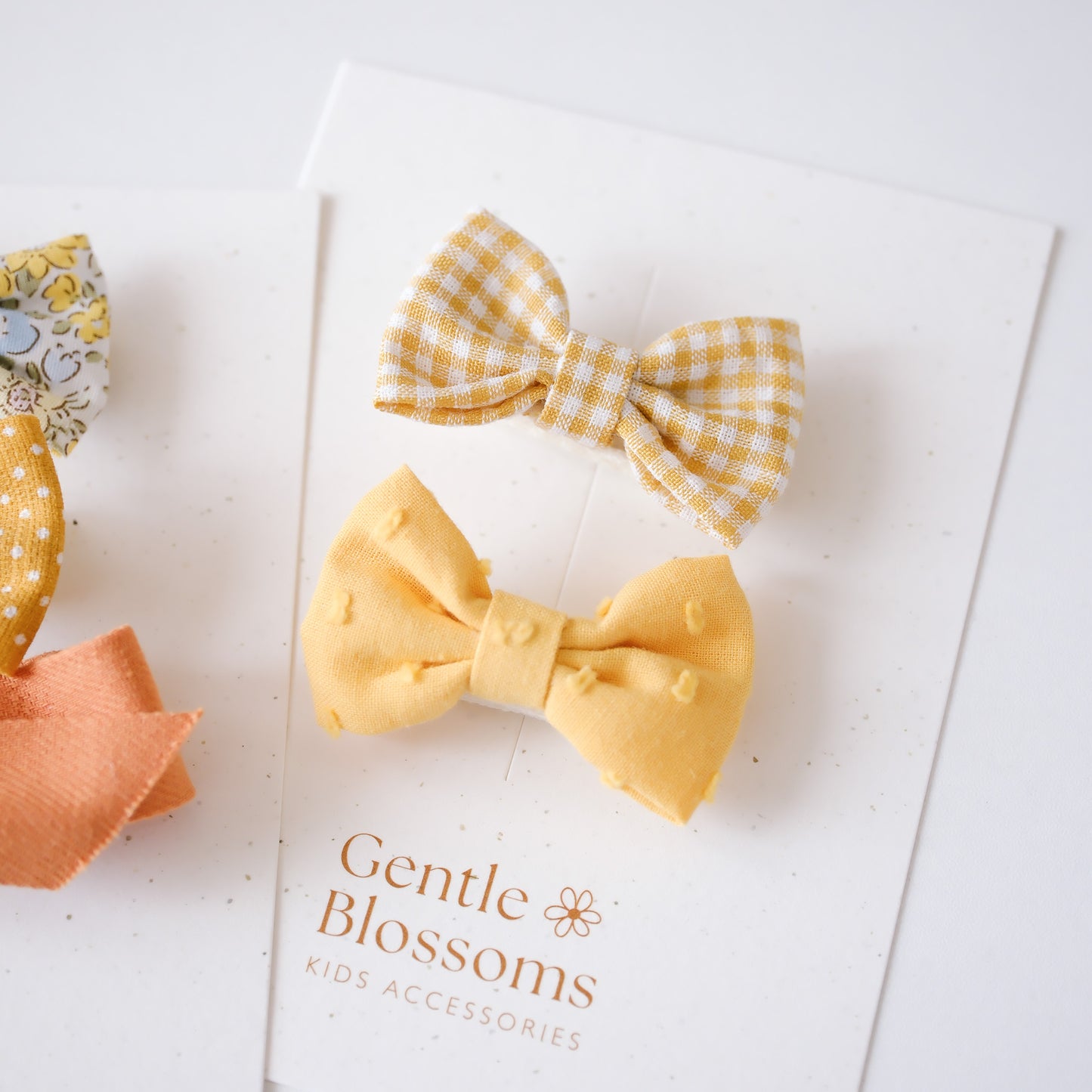 Flavia Hair Clips Set